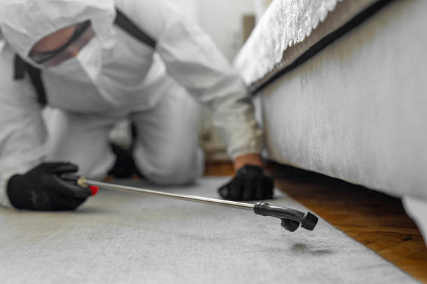 Professional Ant Control technician working in Long Creek, IL