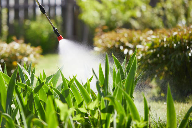 24/7 Emergency Ant Control experts in Long Creek, IL