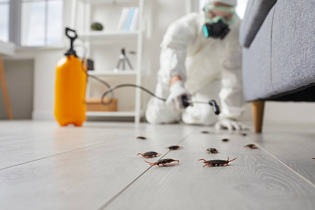 Trusted Fumigation Services service in Long Creek, IL - Nex Pest Control