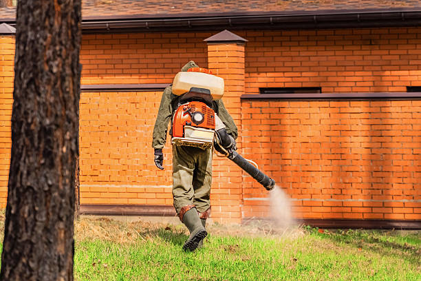 Trusted Bed Bug Control service in Long Creek, IL - Nex Pest Control